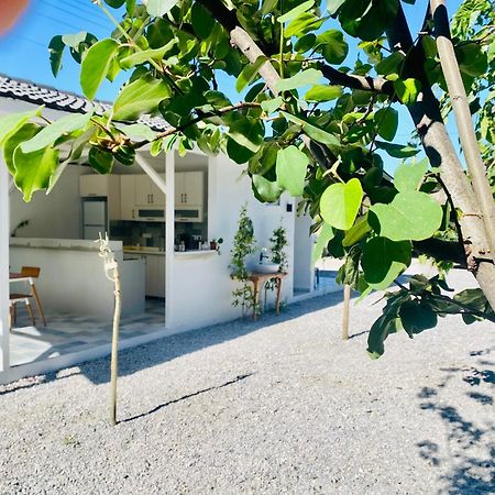 Airport Blue Eye Apartment Dalaman Best Location Also Suitable For Day Rentals Ideal For Air Travelers, 5 Km Close To Airport Exteriör bild